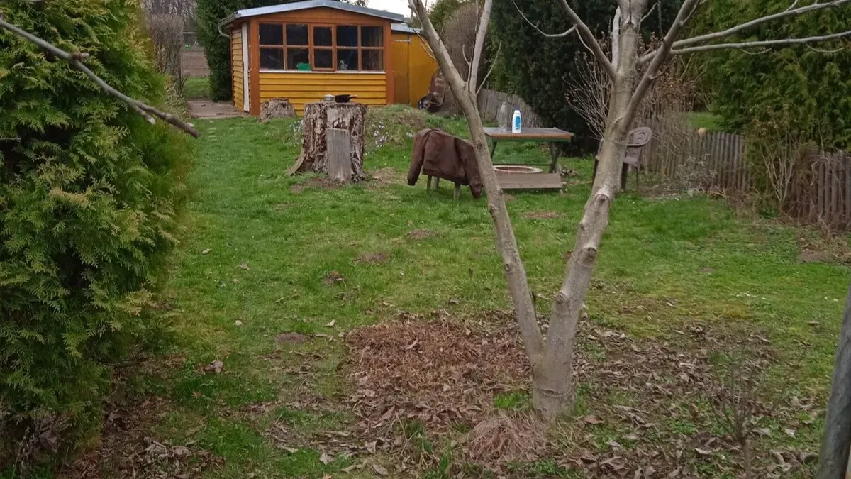 Prodám do osobního vlastnictví chatu a pozemek rozloze 255 m2